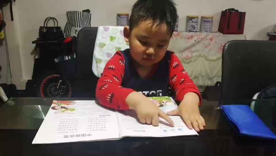 阅读-6