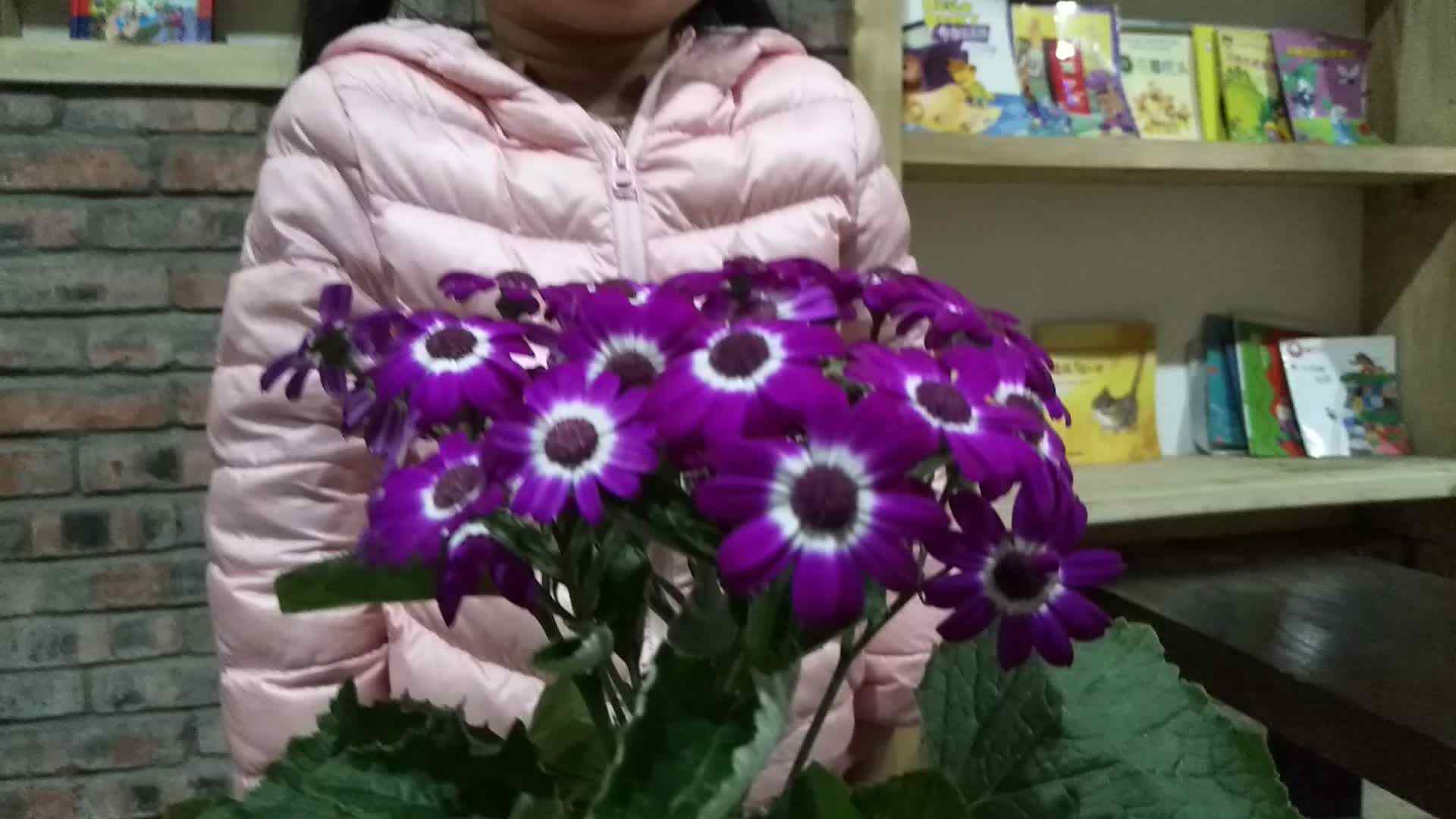 认识鲜花