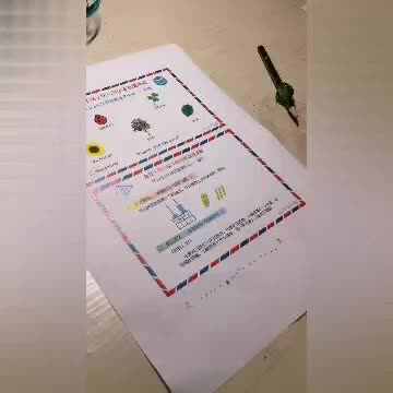 实验学前三班张淳博2.24数学脑力激荡