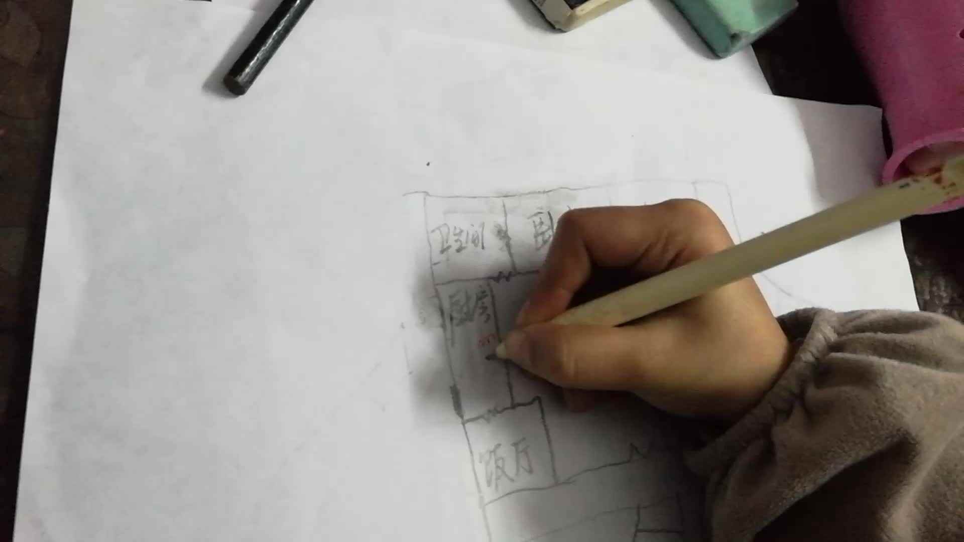 生存训练家庭作业