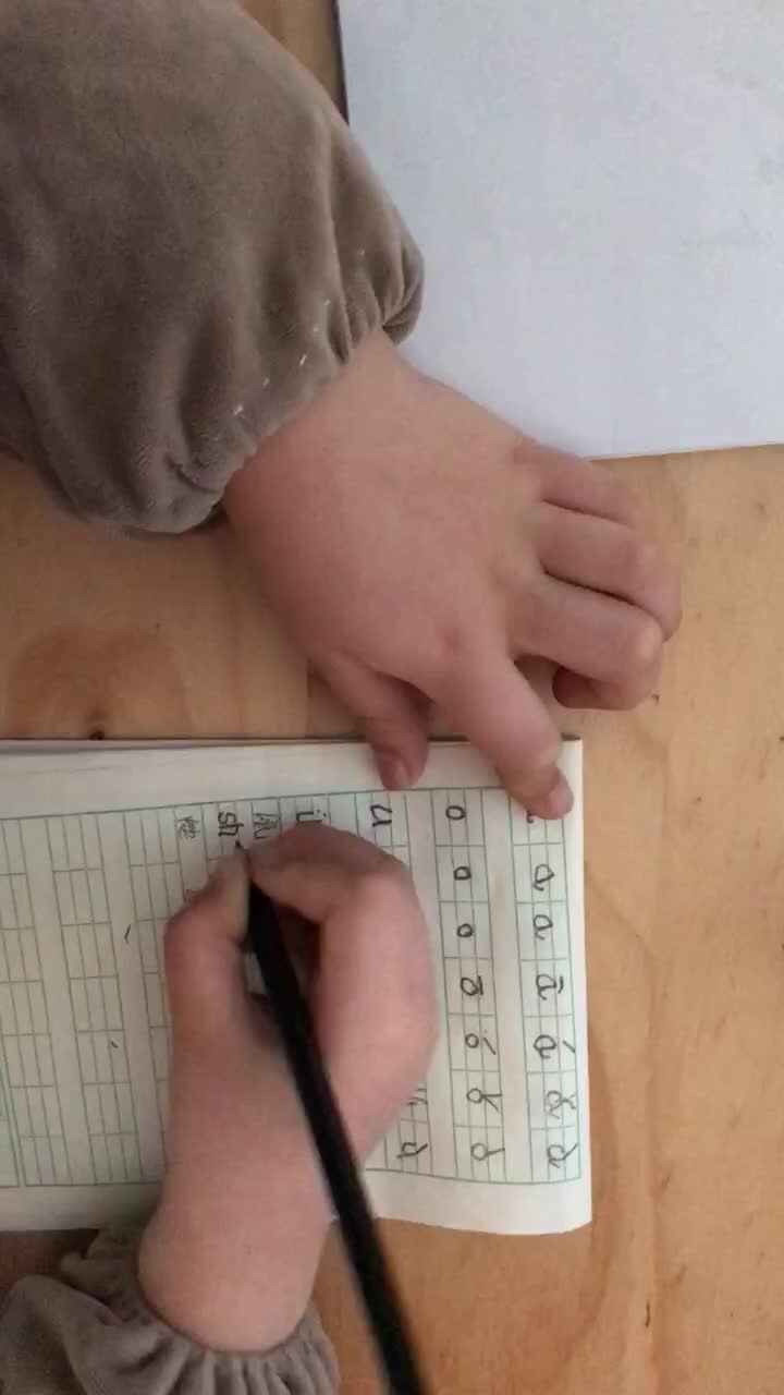 2020.2.20拼音作业