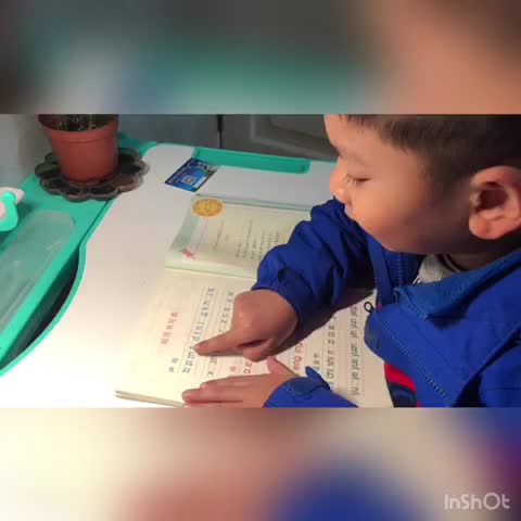作业