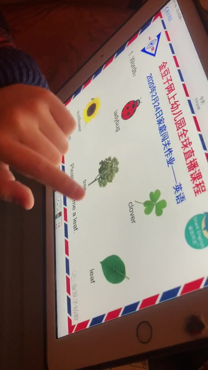 2.24英语作业