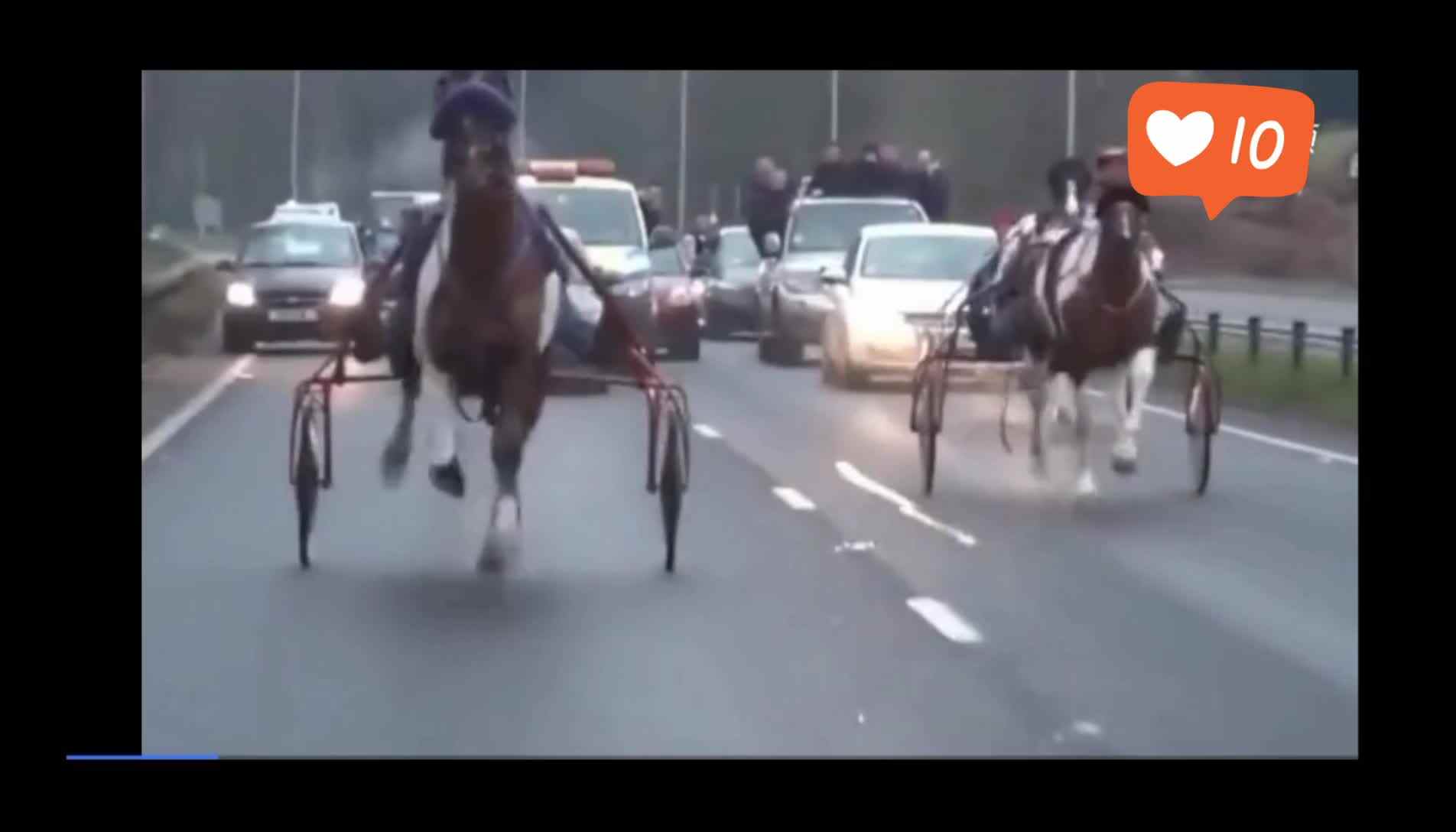 马儿跑，你想到声母d了吗