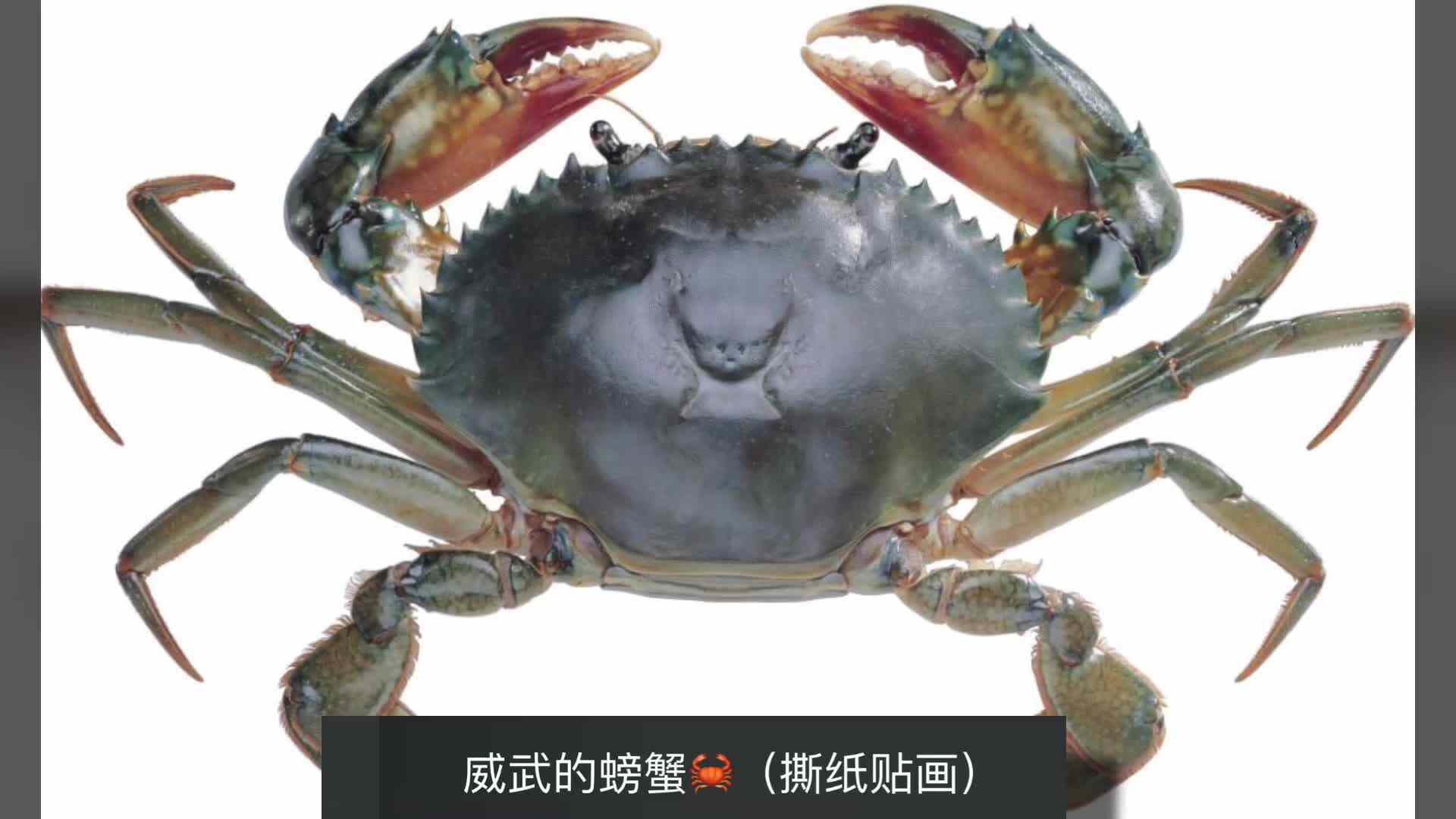 撕纸贴画—威武的螃蟹