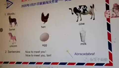 2.21实验三班杜涵义家庭作业