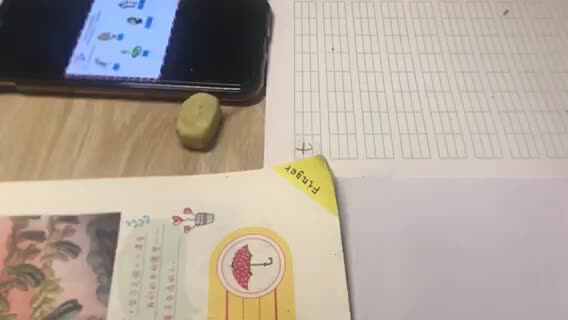 王佑辰2月20日家庭作业-拼音