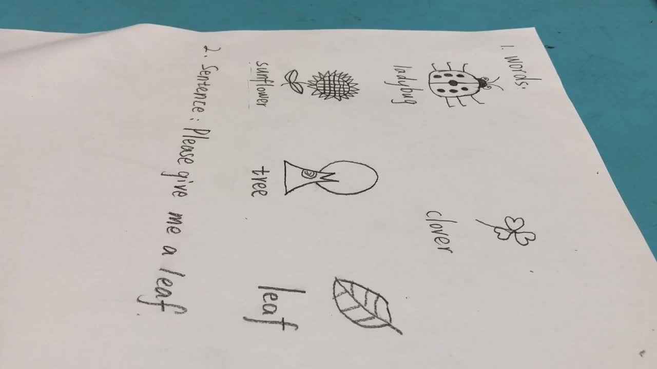 实验3班家庭作业 英语