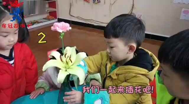 感官——花的世界