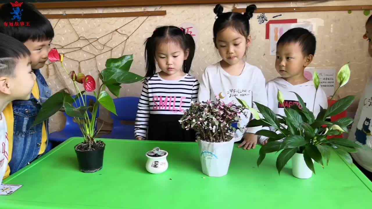 数学——和我一起比高矮