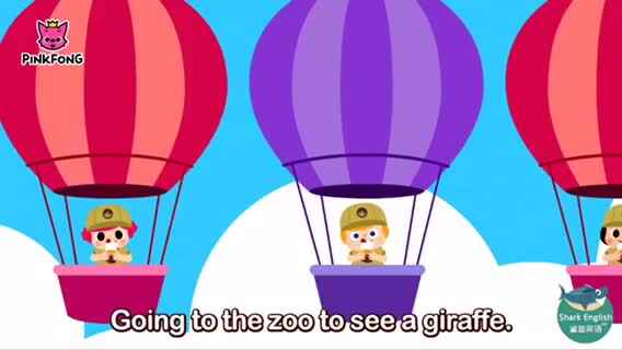 Peek-a-zoo