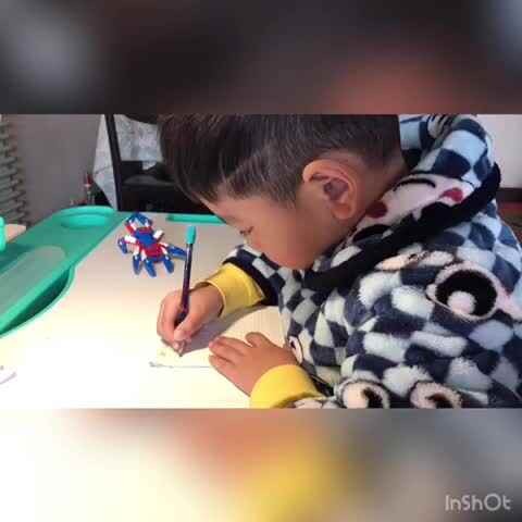 整体认读音节