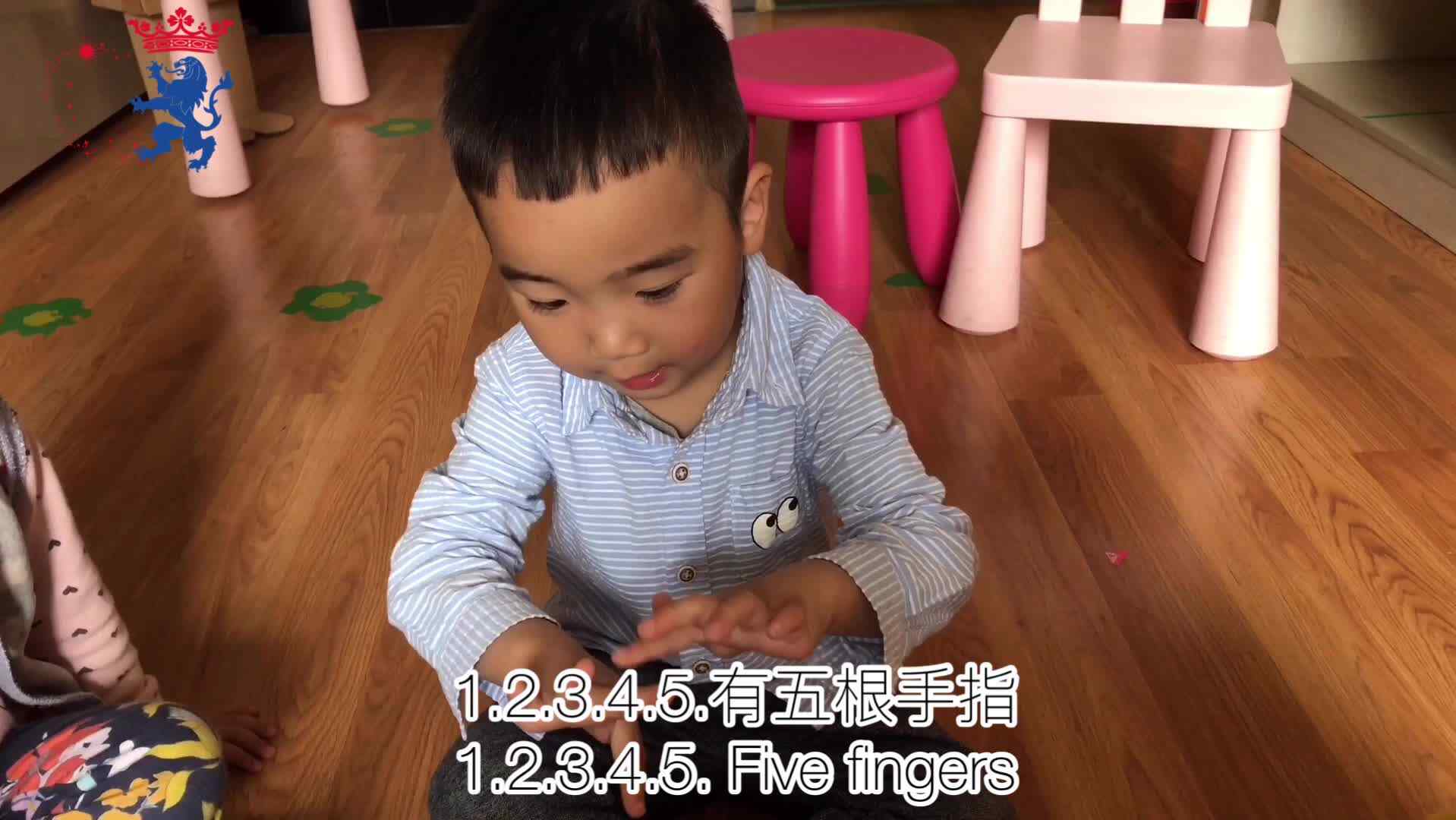 2020年2月27日15:10—15:40——《神奇的小手》