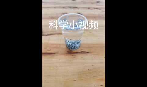 科学实验