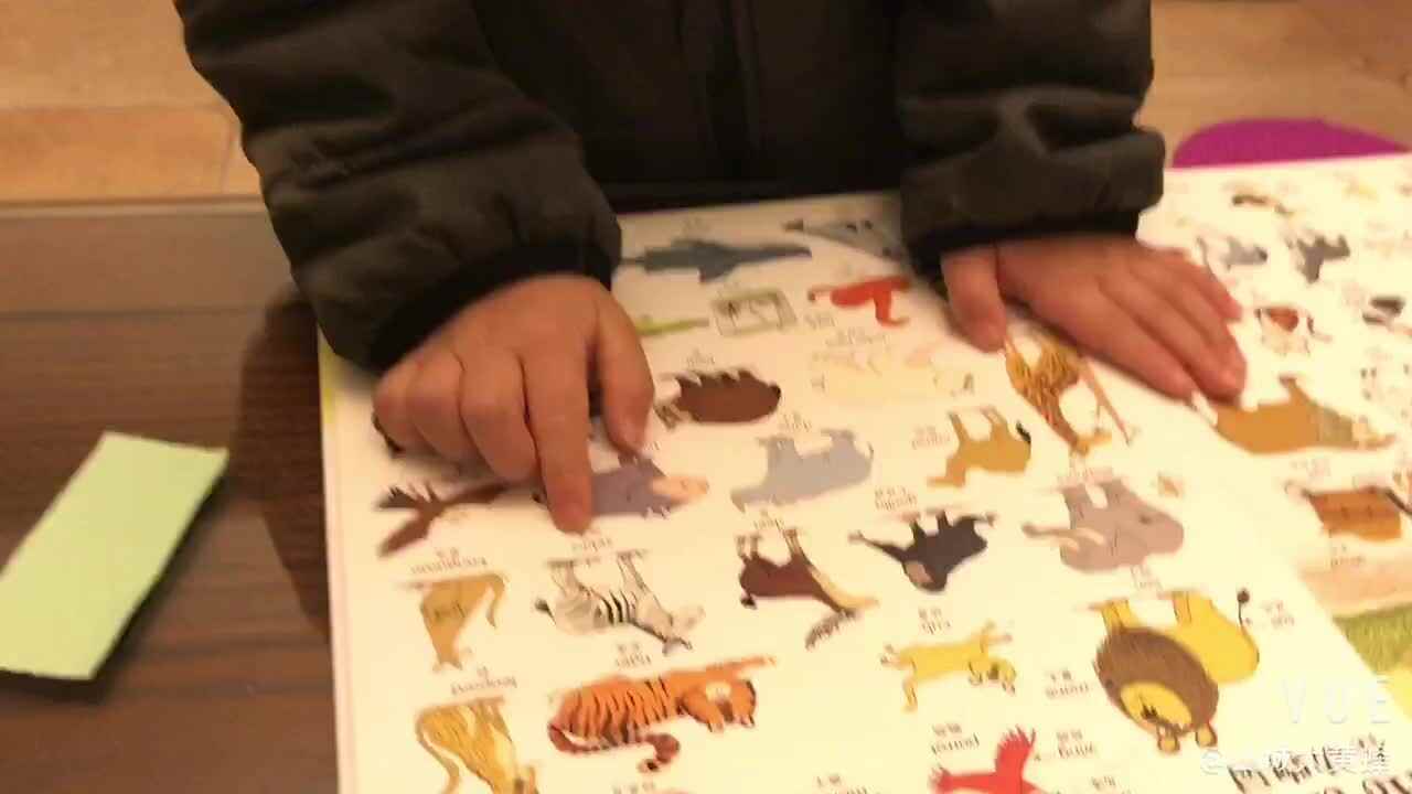 中B班黄钰旸0318