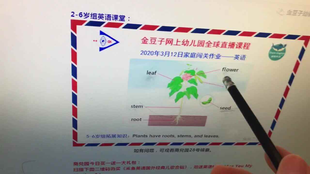 2020.3.12英语作业