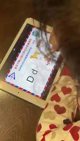 英语实验三班刘楚焓