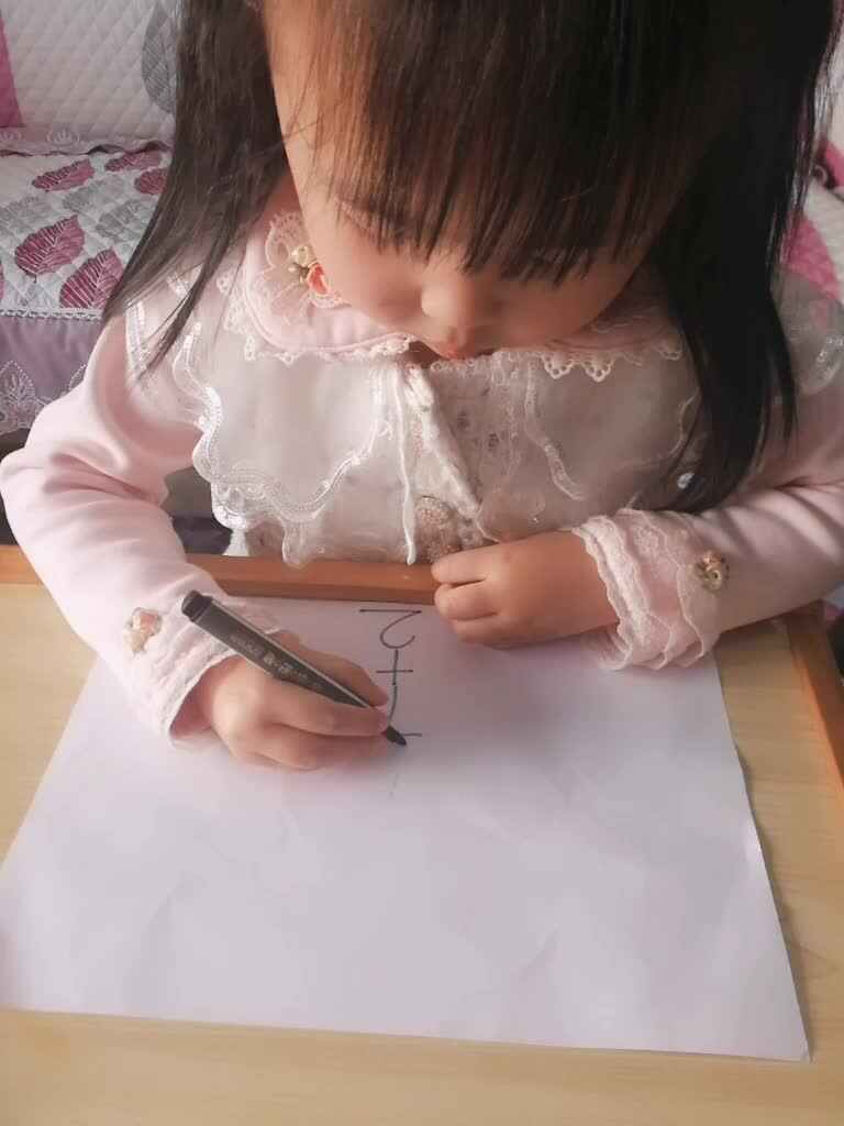 我的简化版老鼠    刘宸央