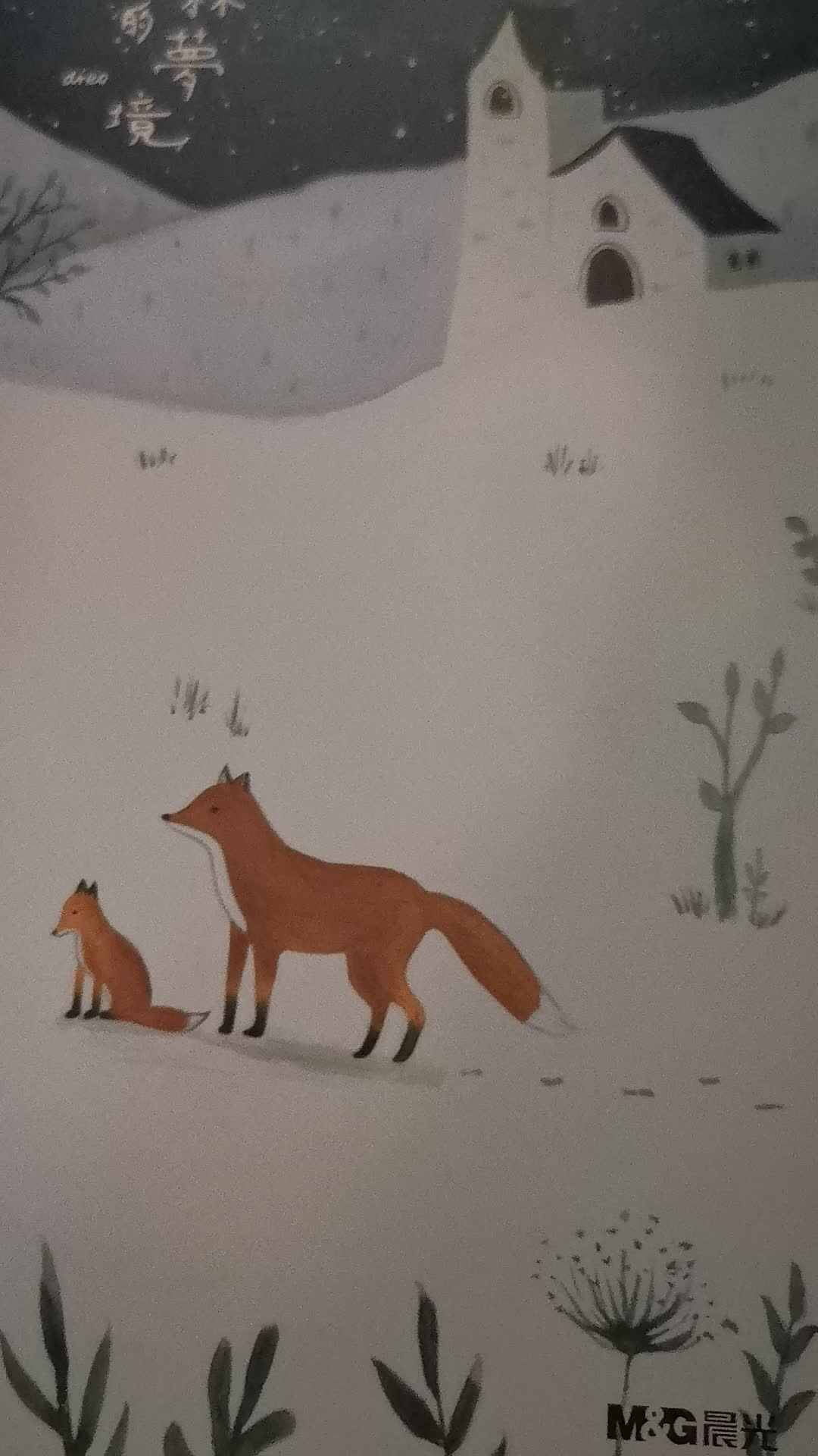 2020.3.16实验中班17号