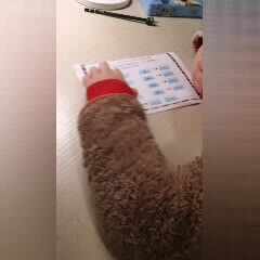 实验三班张淳博3.9拼音