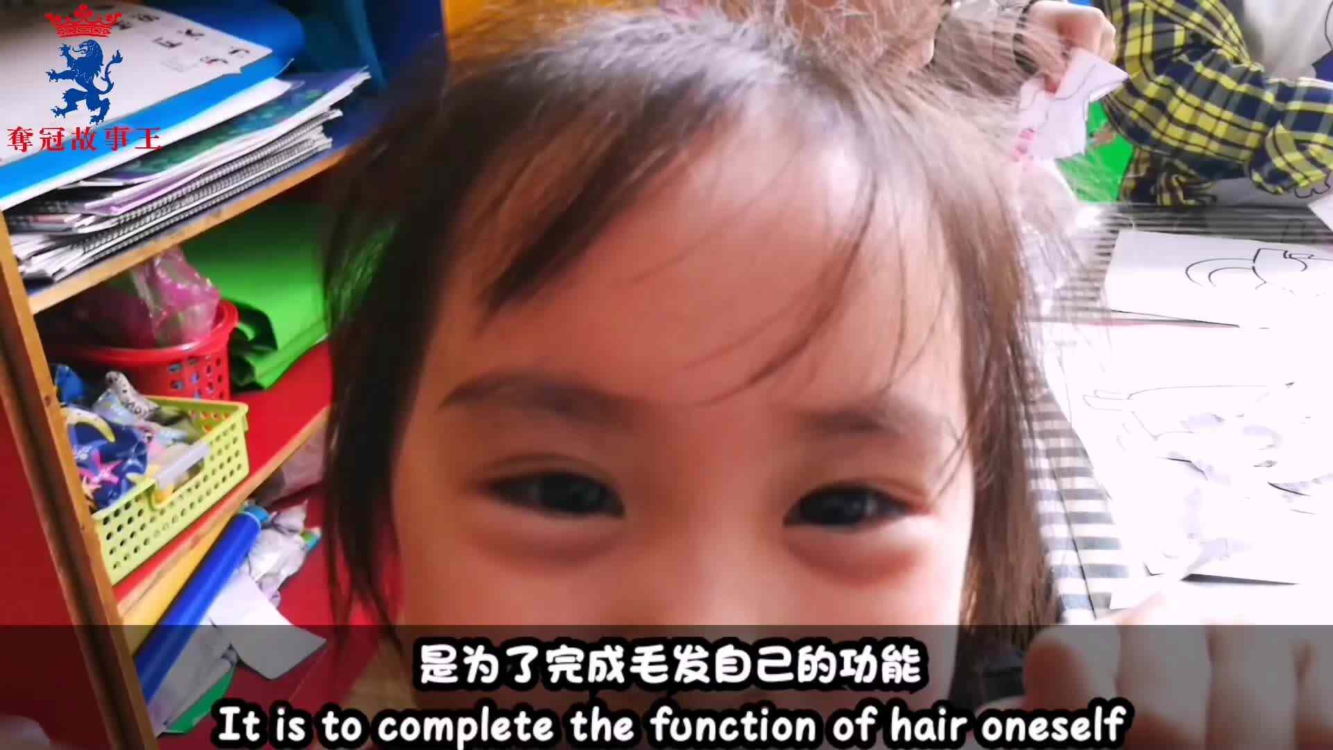 生活——伴随我们一生的毛发