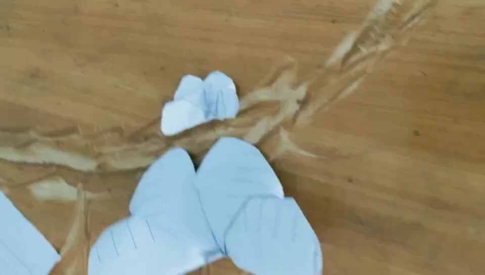 关诗琪折蝴蝶.mp4