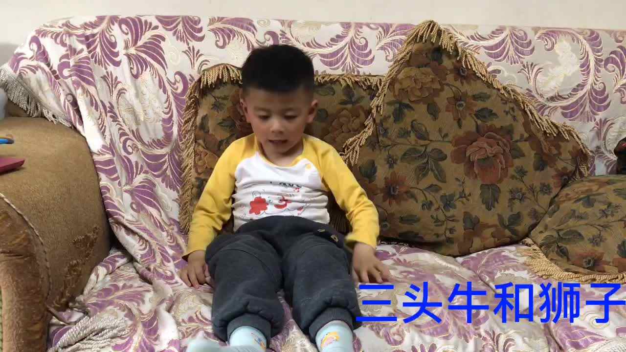 三头牛和狮子.MOV