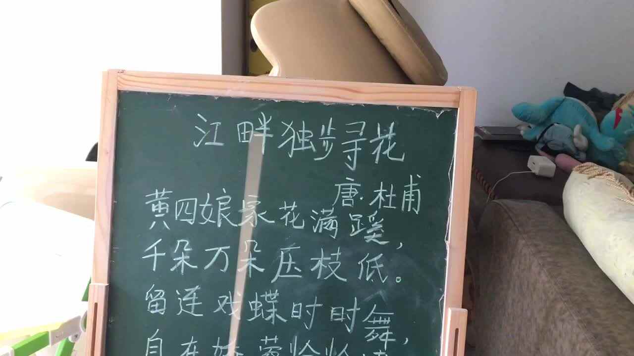 江畔独步寻花
