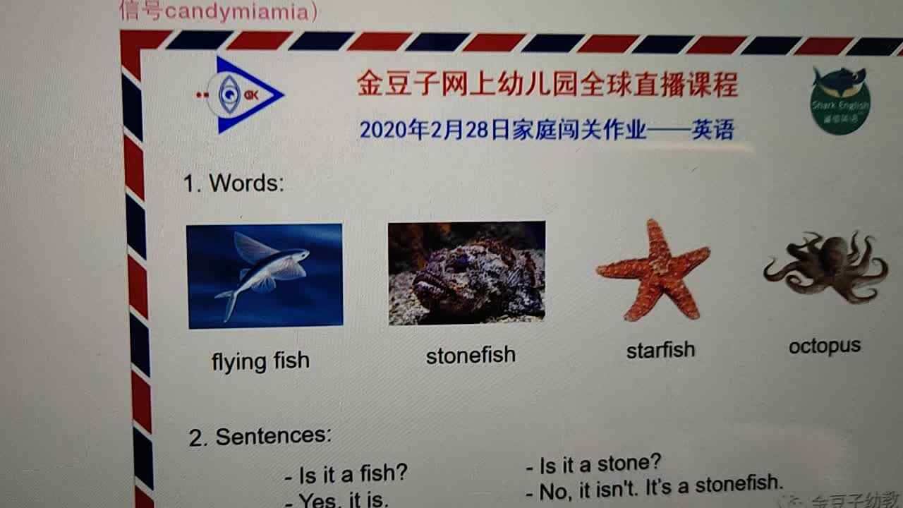2020.2.28英语作业