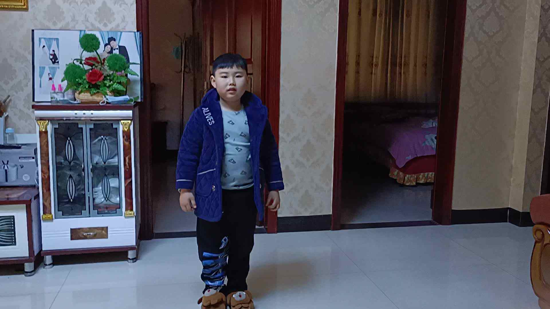 复习咏柳.mp4