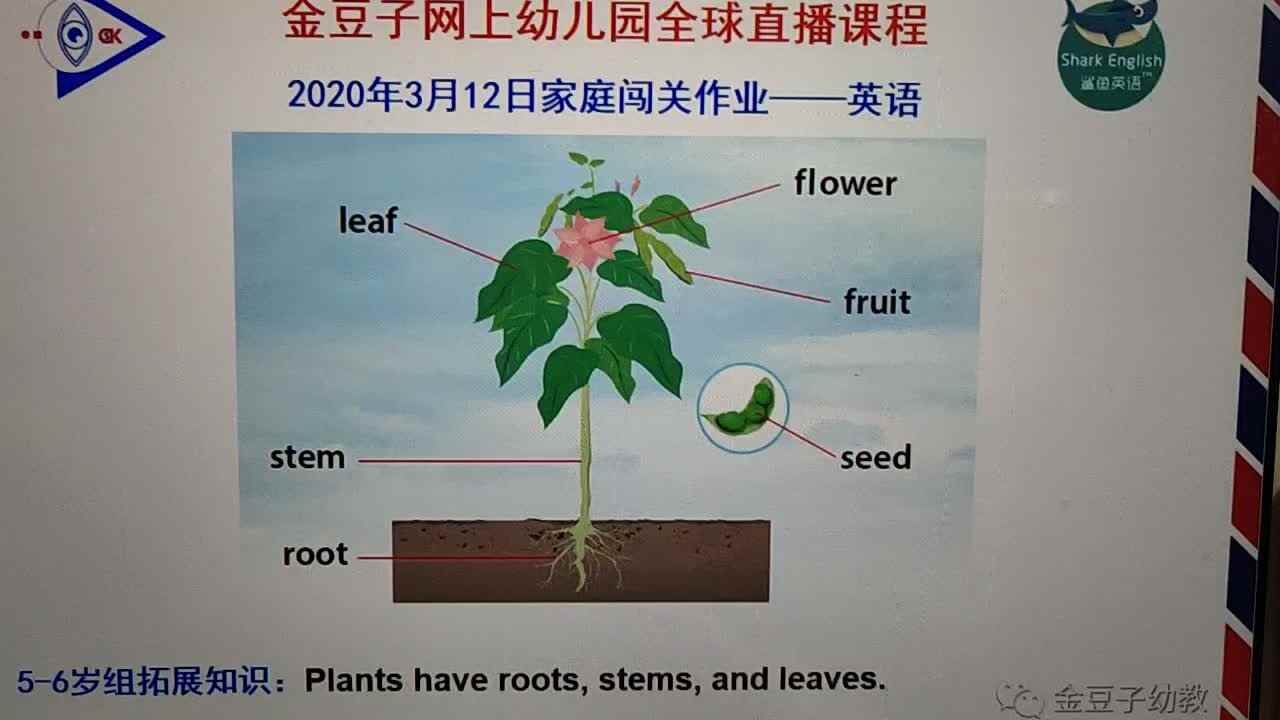 2020.3.12英语作业