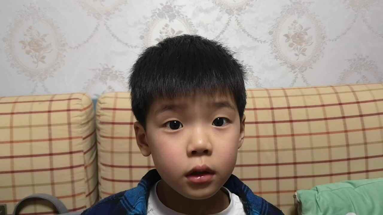 20200317大A班雒昊然-忆江南