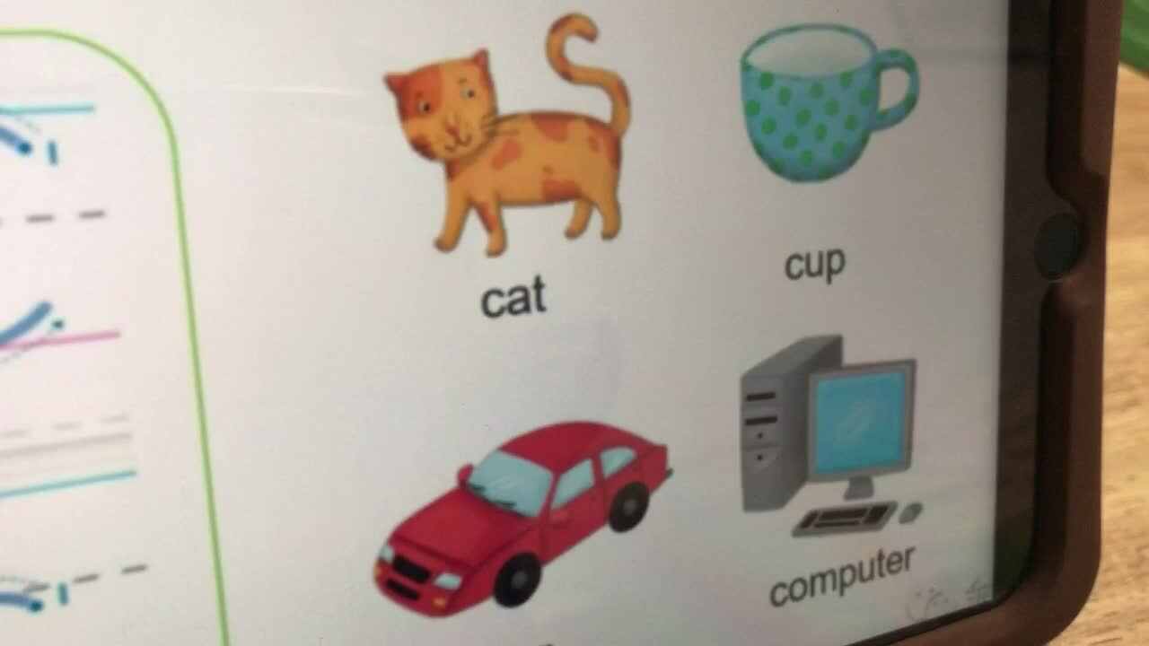 2020.3.25实验中班6号作业反馈