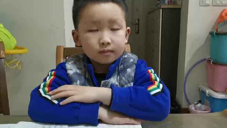 4.23号刘勃言语文作业