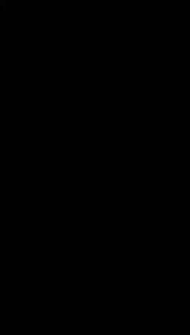 20200401实验三班刘楚焓-英语