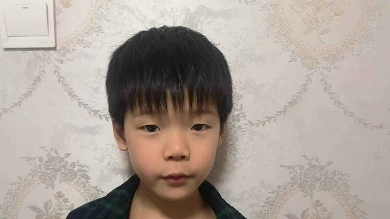 2020.4.7大A班雒昊然～清明