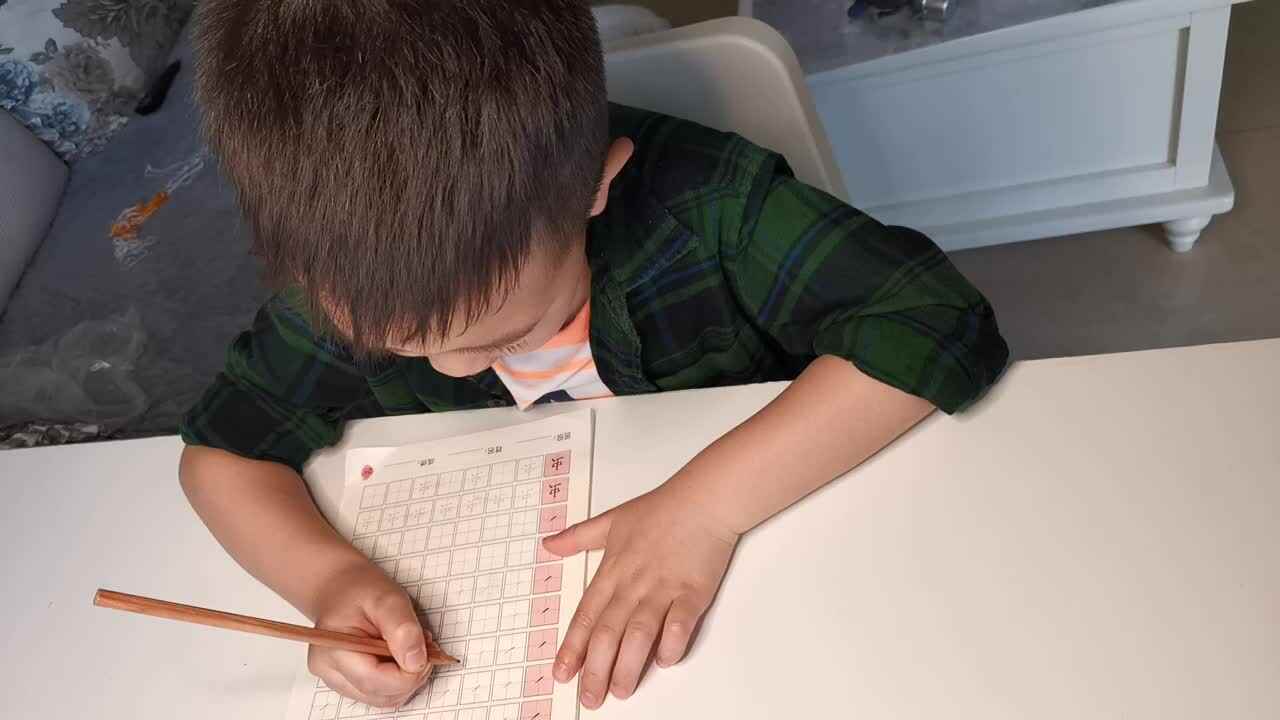 笔画《提》 雷昊霖