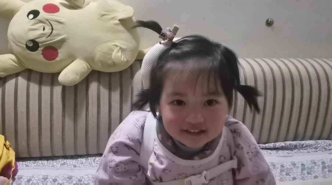 馋嘴的小猫