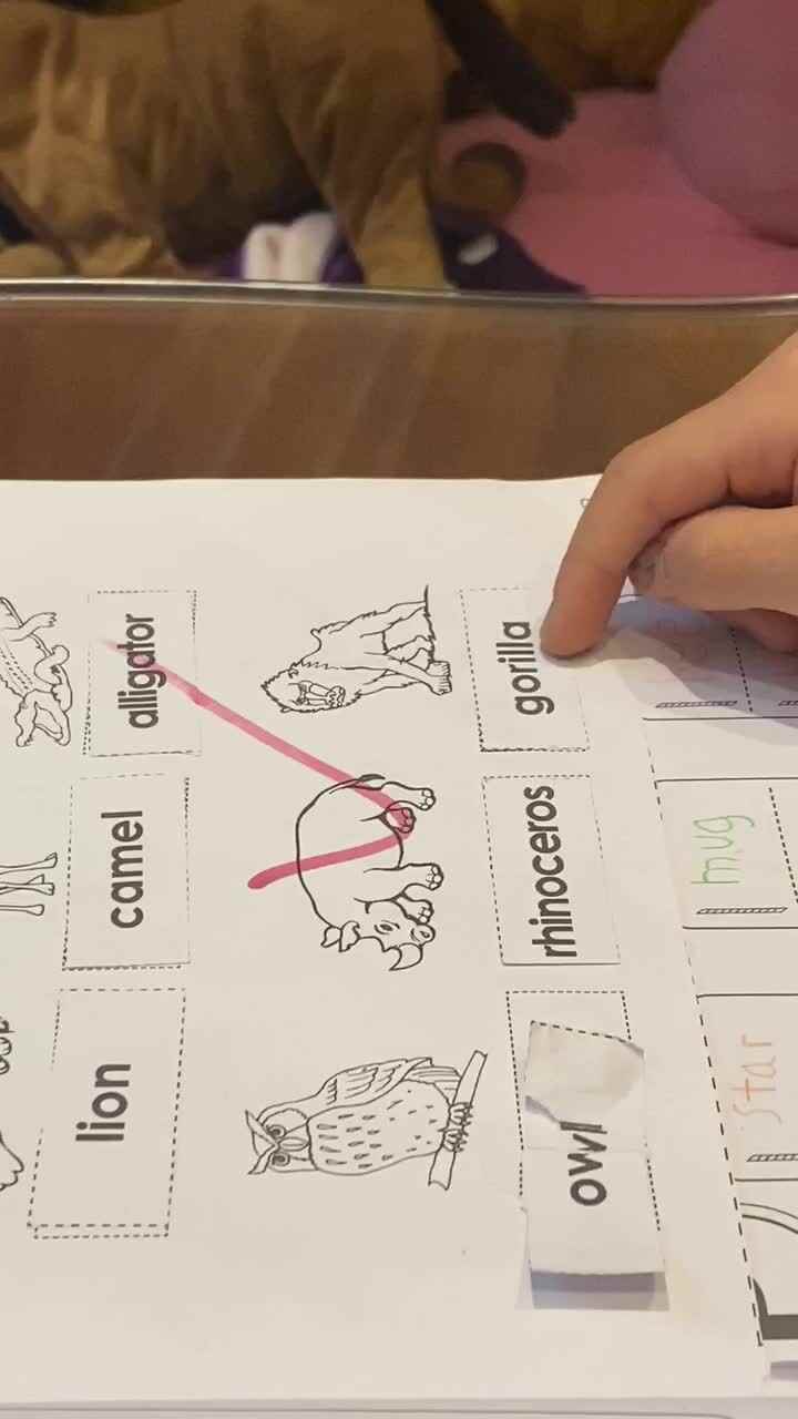 复习英语单词