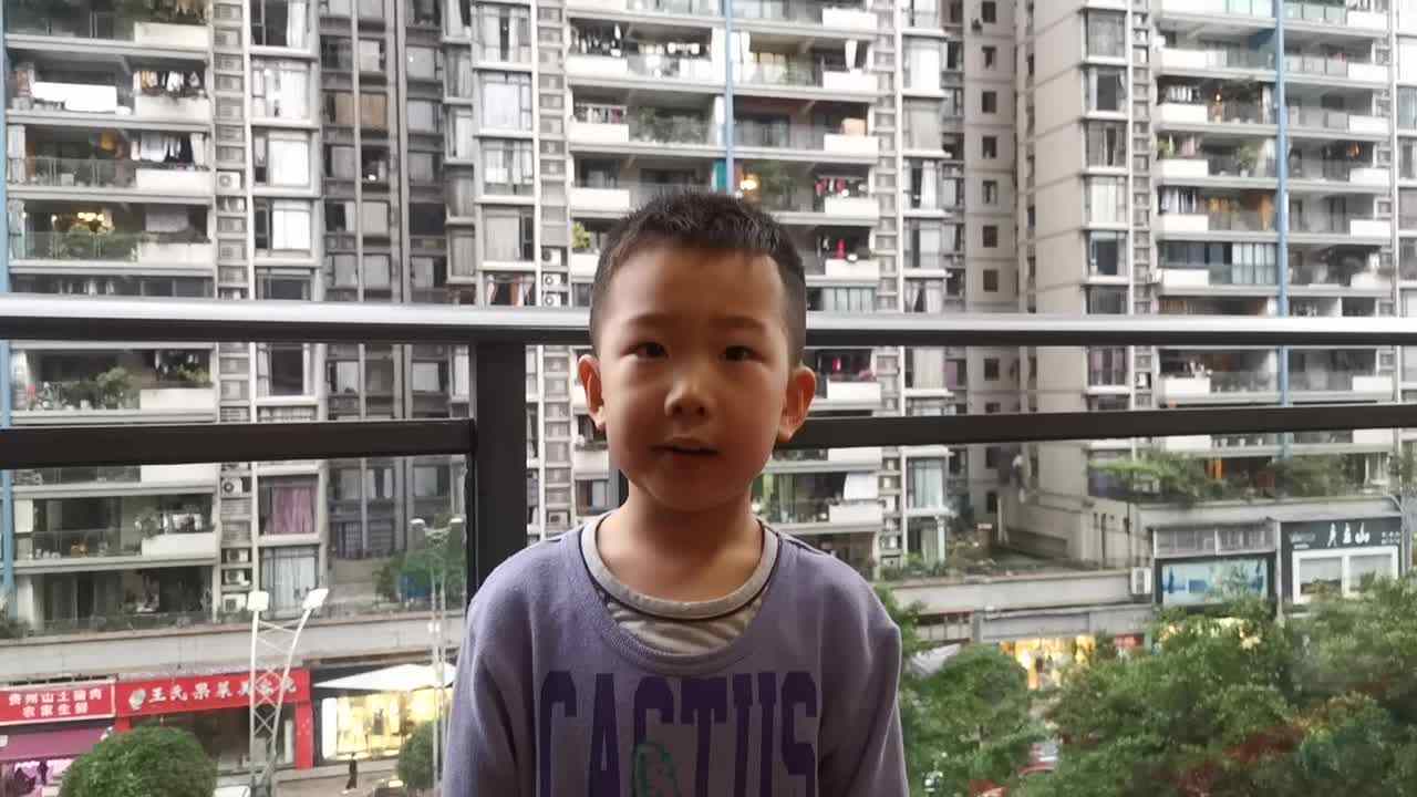 《望庐山瀑布》  雷昊霖