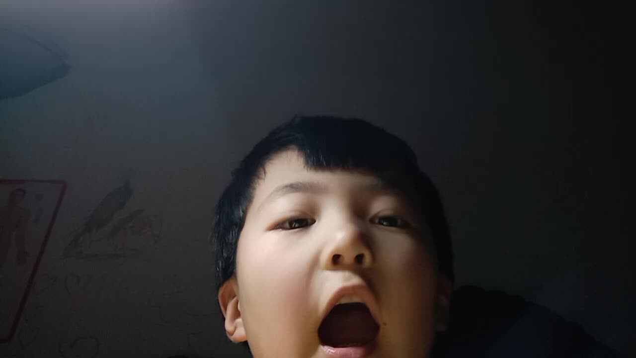 2020.4.28汉字作业 杨世轩