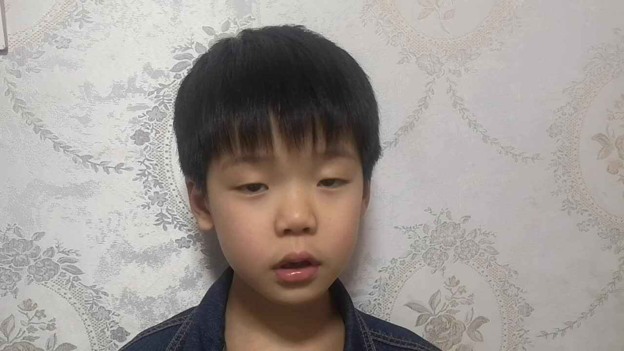 2020.4.9大A班雒昊然-清明