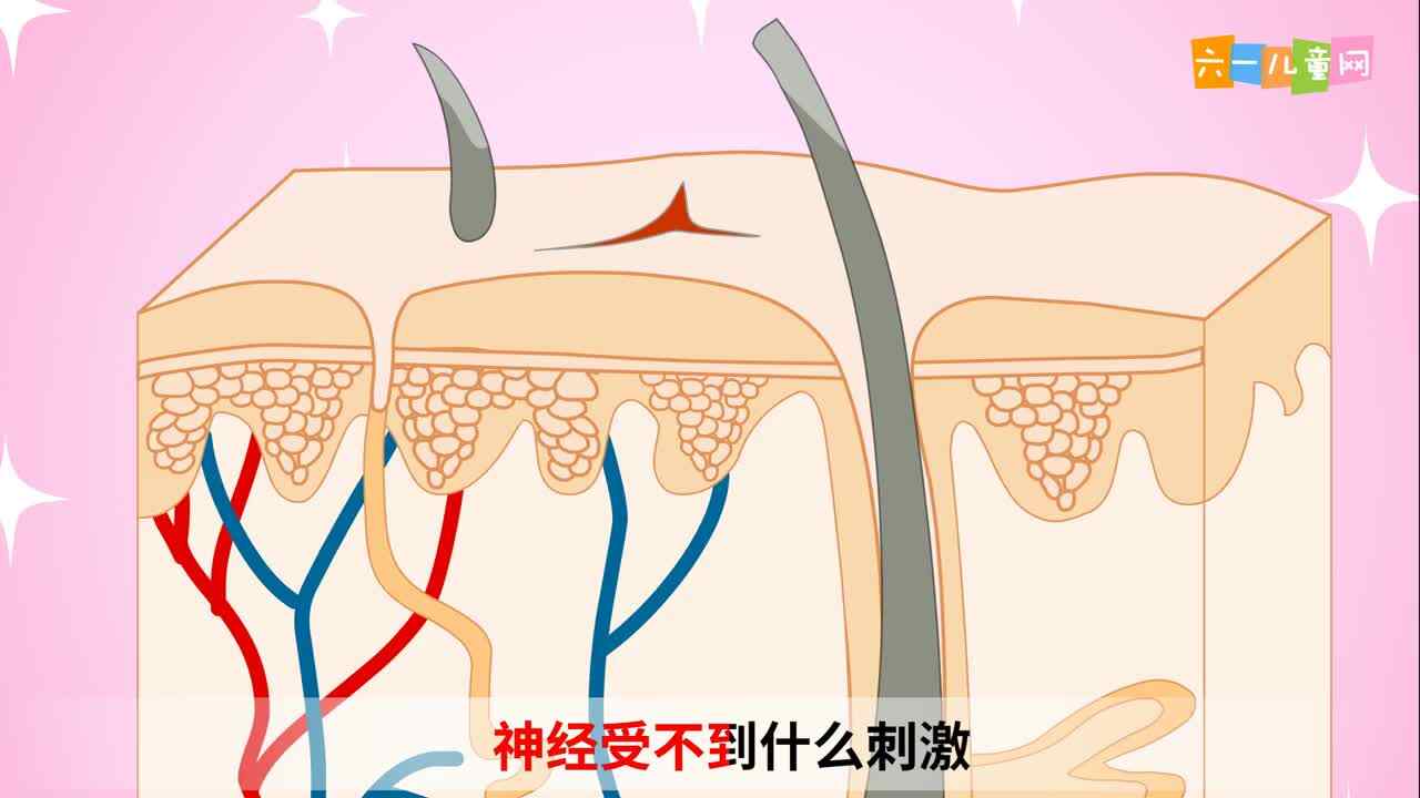 生存训练：为什么伤口愈合时会觉得痒？