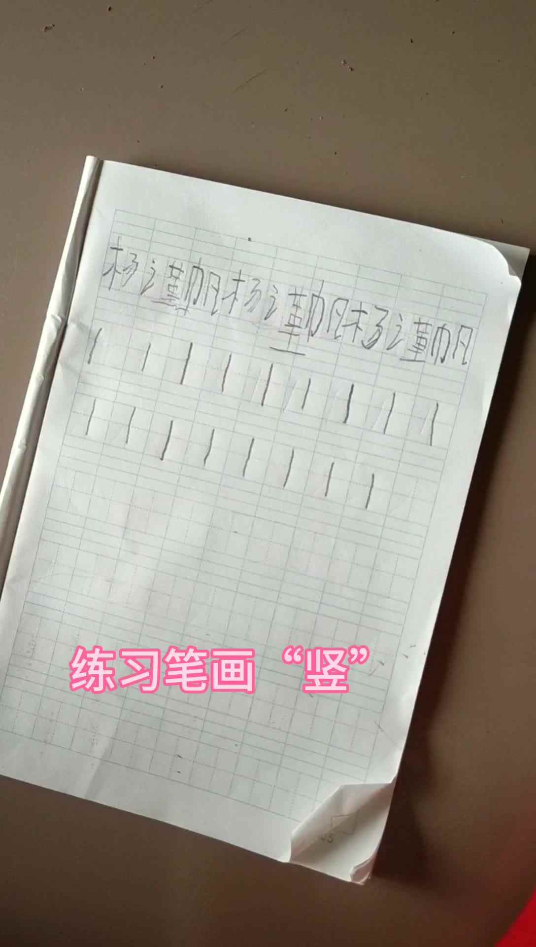 杨谨帆～书写笔画“竖”