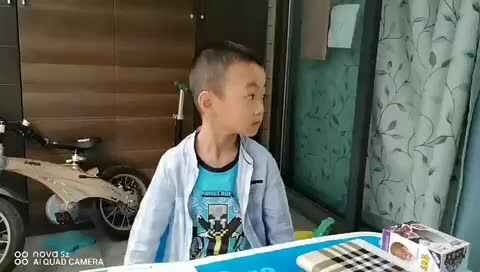 2020.05.13诸遇安-鸭子为什么会游泳