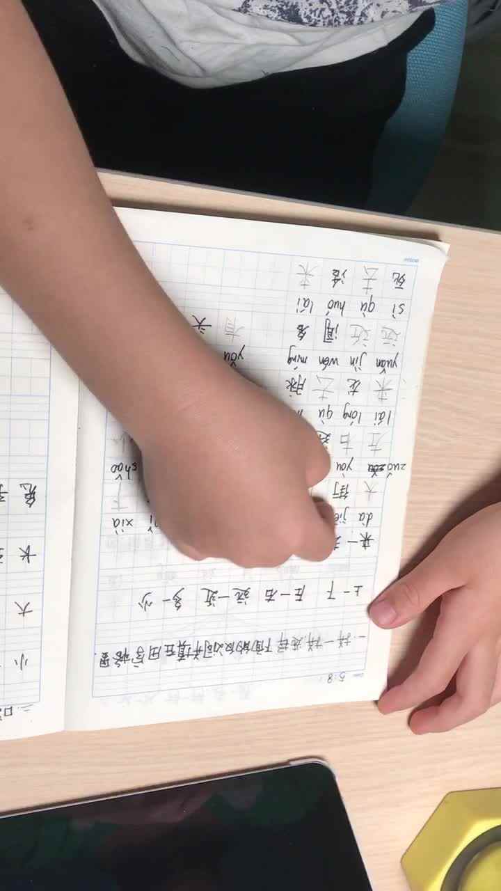 实验2班张桐安5.8语文作业