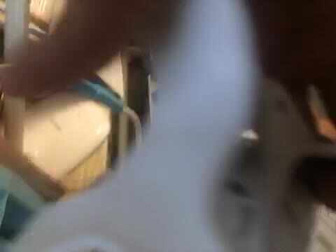 王佑辰家庭作业语文