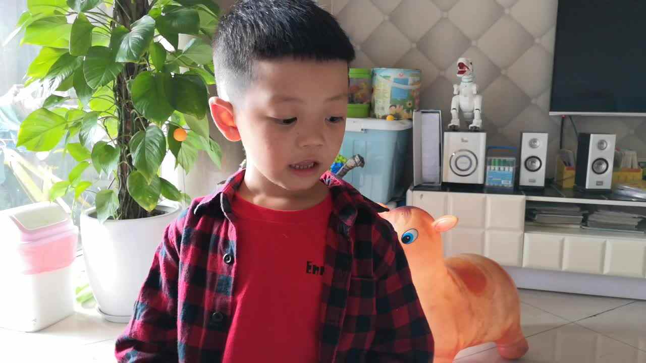 《蚂蚁和西瓜》—大B班阳铭礼