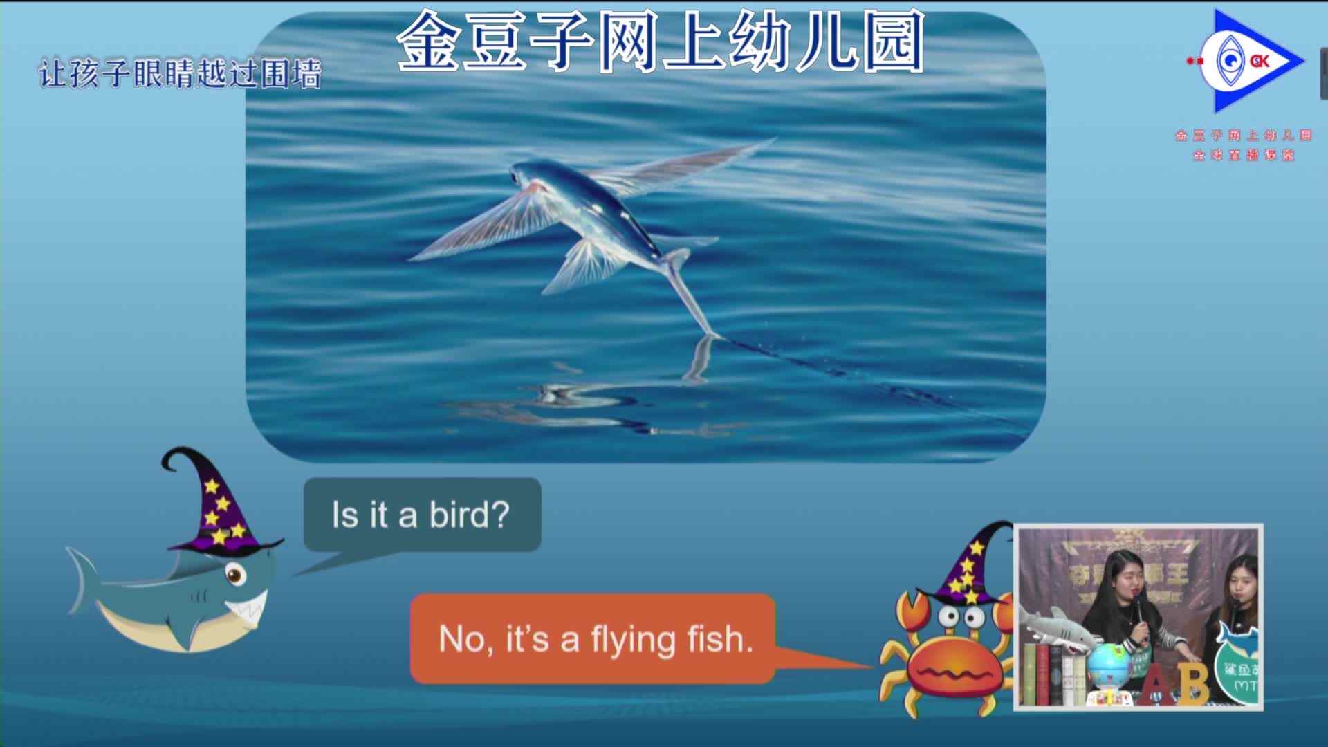 2020-2-28英语课堂——海洋生物3