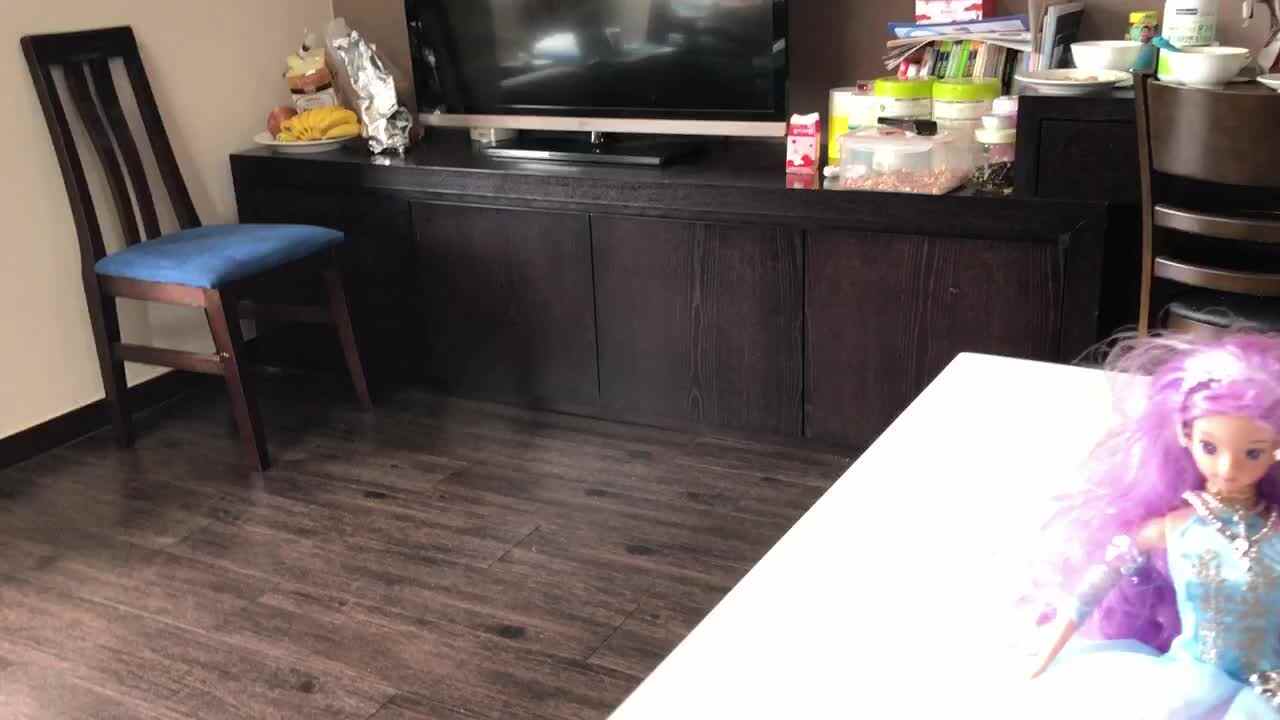 实验中班奉利珊英语作业
